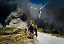 عکس از آتش سوزی جنگلی در پرتغال – آتش سوزی در جنگل‌های پرتغال بار دیگر اوج گرفت